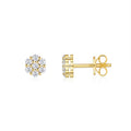 Top-quality Moissanite Luxury And Fashionable Light Luxury Jewelry Silver Stud Earrings S925 Silver Electroplated Gold